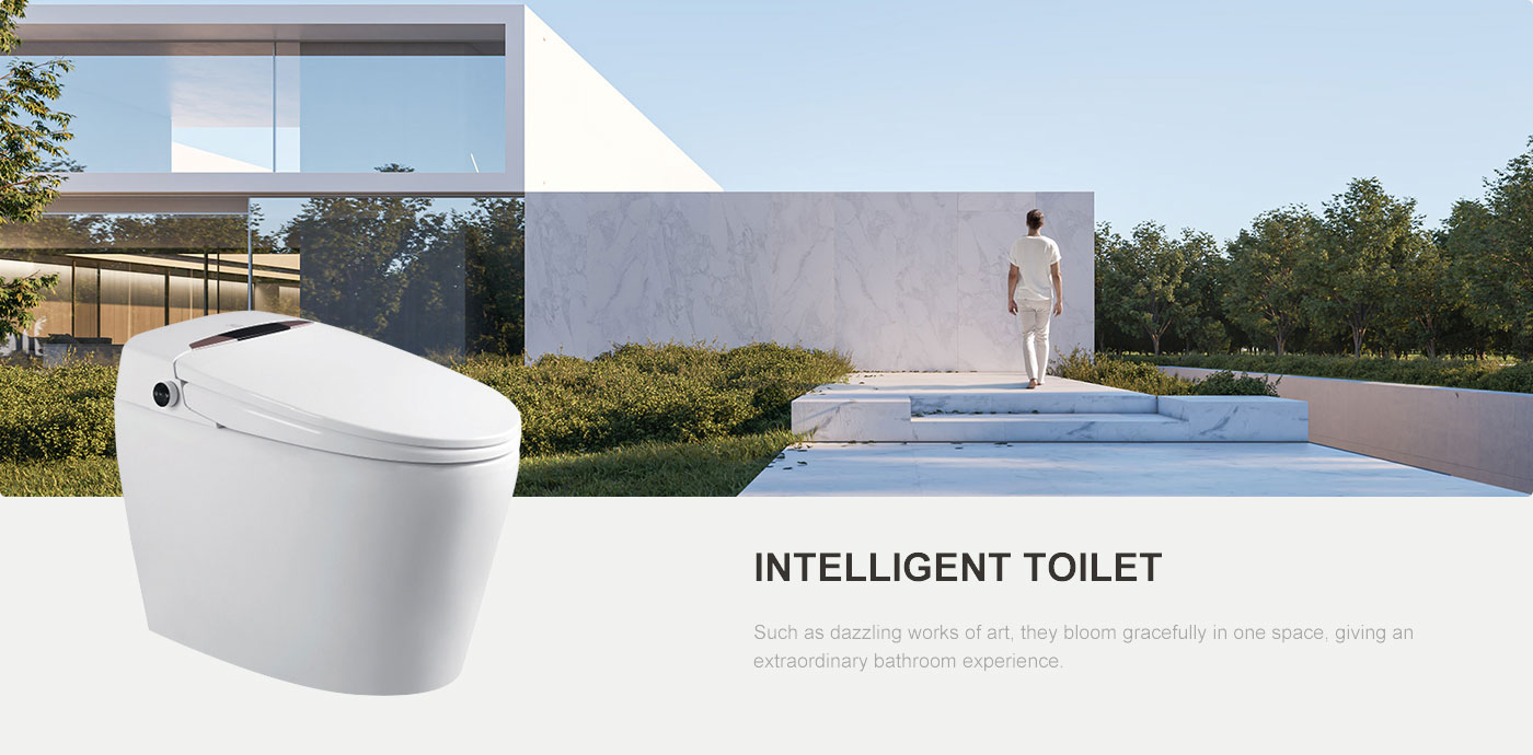 Intelligent Toilet